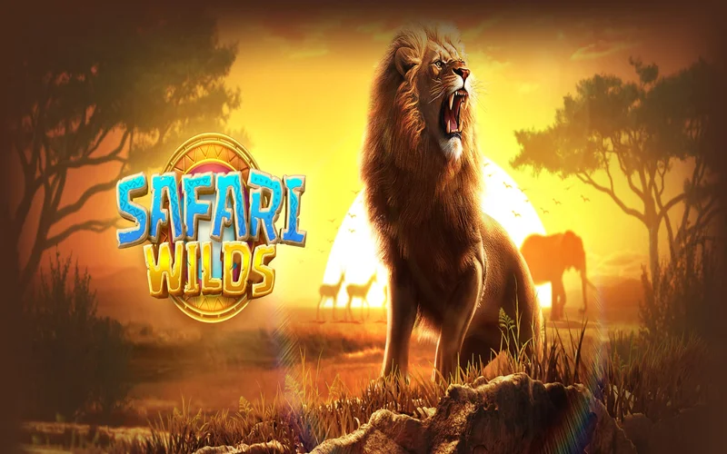 Safari Wilds - Slot Game Sở Hữu Đồ Họa Đỉnh Cao Hàng Đầu